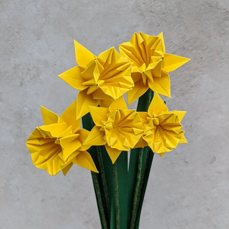 Daffodils