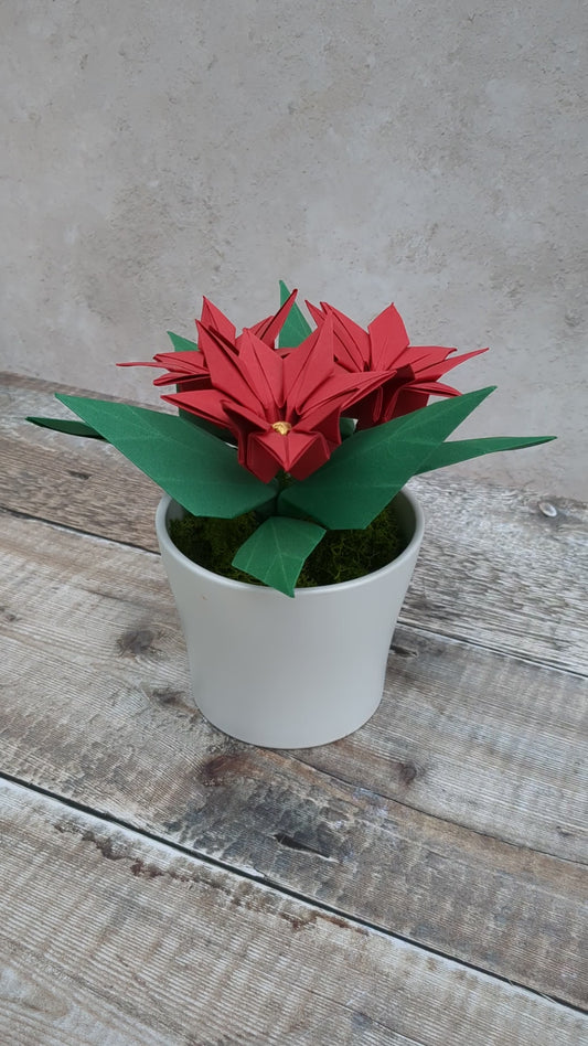 Red paper poinsettia potted plant gift, origami faux flowers