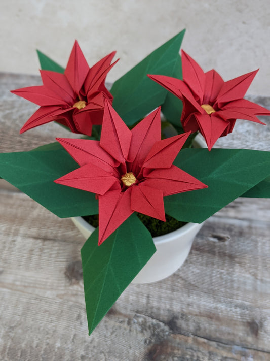 Red origami paper potted plant based on a poinsettia