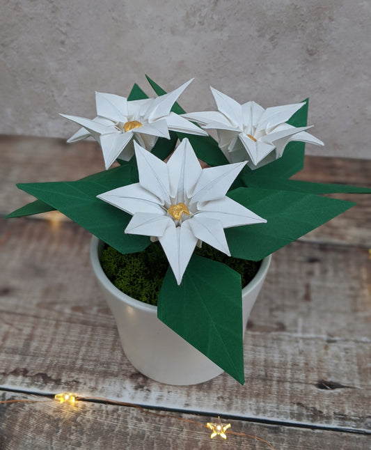White origami paper plant in a white ceramic pot. The handmade plant has 3 white flowers with gold centres and 8 dark green leaves