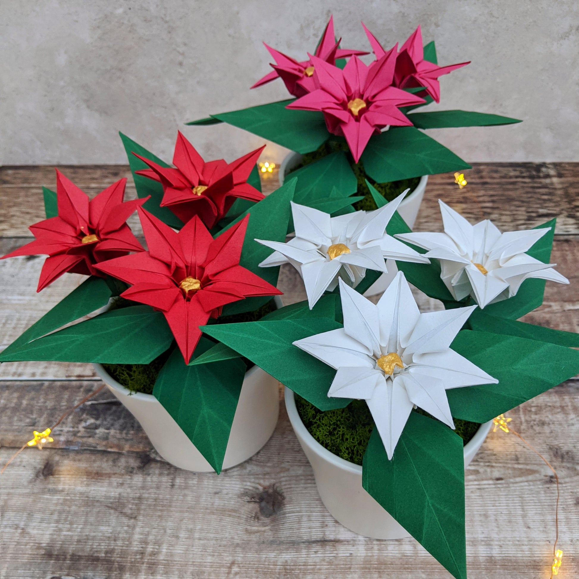 A group of three origami paper poinsettia potted plants - one red, one pink and one white
