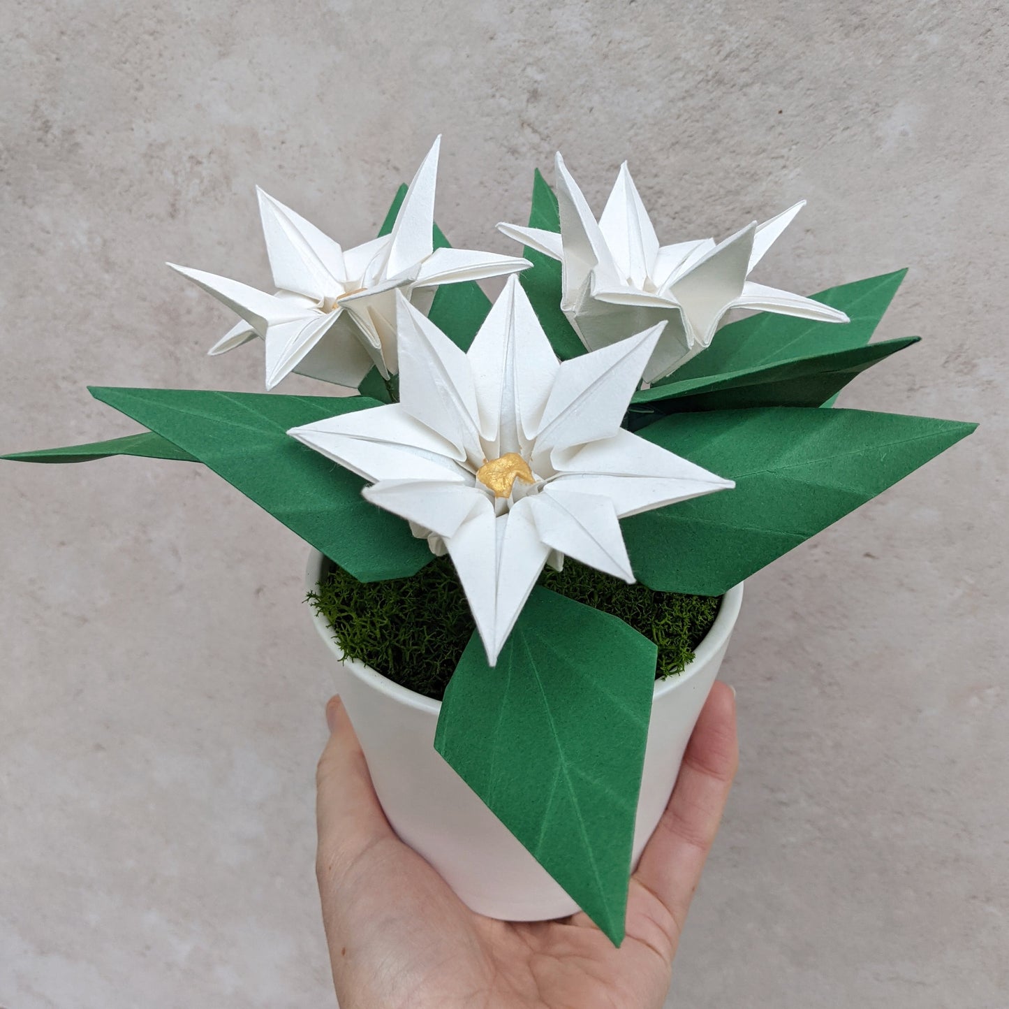 hand holding pot containing an origami paper poinsettia plant with white flowers and green leaves 